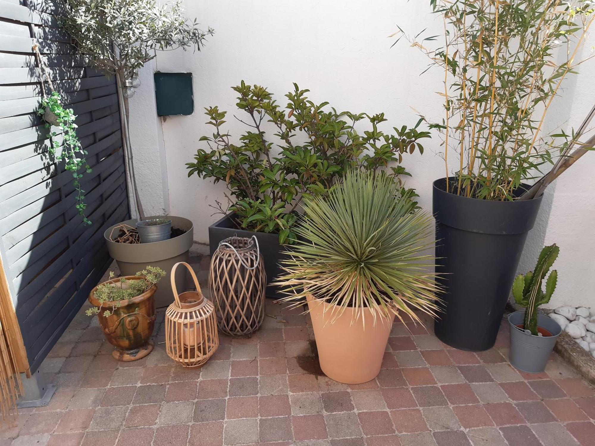 Grand Studio Avec Patio Marseille Kültér fotó
